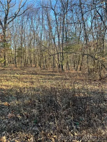 $700,000 | 4534 Pyrmont Road, Stover, MO 65078