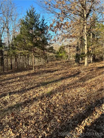 $575,000 | 4534 Pyrmont Road, Stover, MO 65078