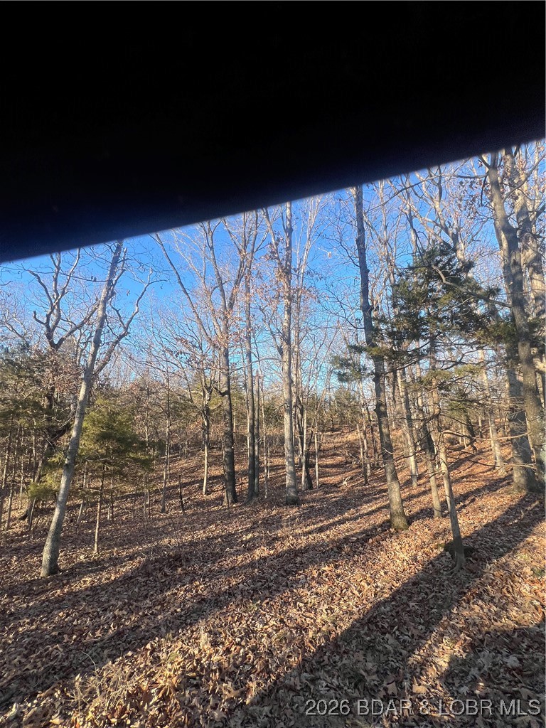 4534 Pyrmont Road Stover, MO 65078 - Photo 36 of 41