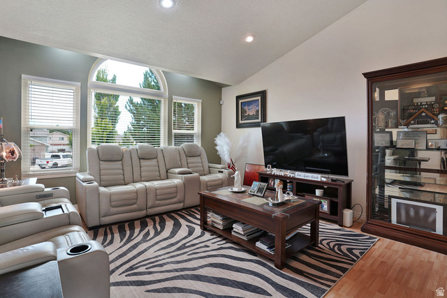 464 West Saddle Back Drive Springville, UT 84663 - Photo 9 of 15 Living area with vaulted ceilings and recessed lighting