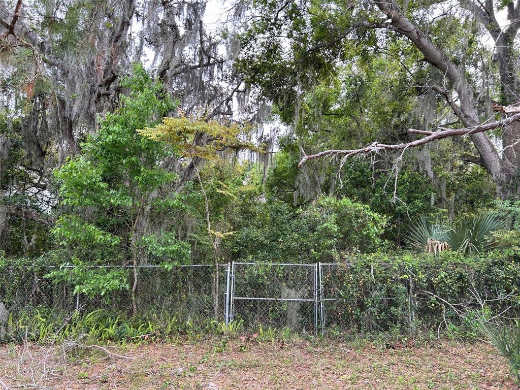 10736 Buck Road Orlando, FL 32817 - Photo 1 of 1