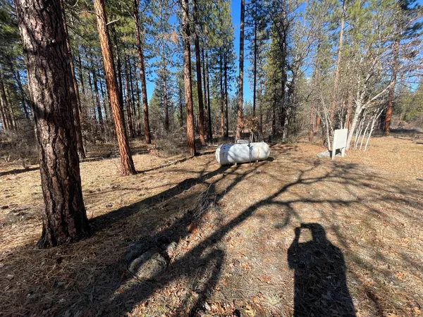 a view of a backyard of the house