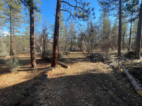 $185,000 | 29352 Roads End Fall River Mills, McArthur, CA 96056