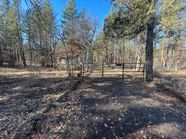 a view of a backyard of the house
