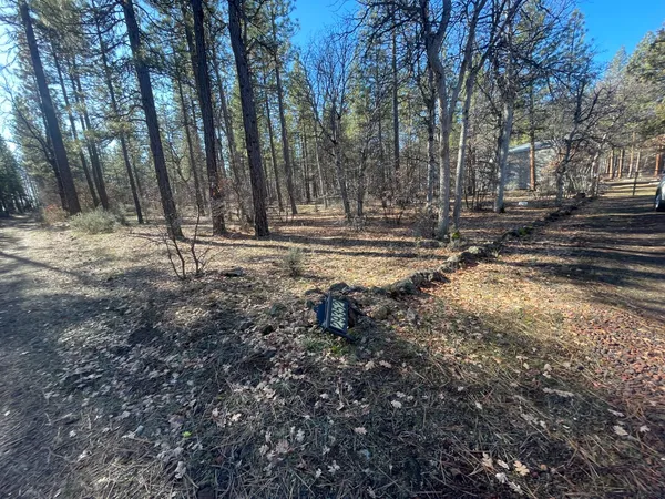 $185,000 | 29352 Roads End Fall River Mills, McArthur, CA 96056