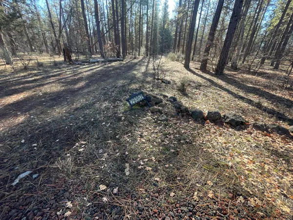 $185,000 | 29352 Roads End Fall River Mills, McArthur, CA 96056