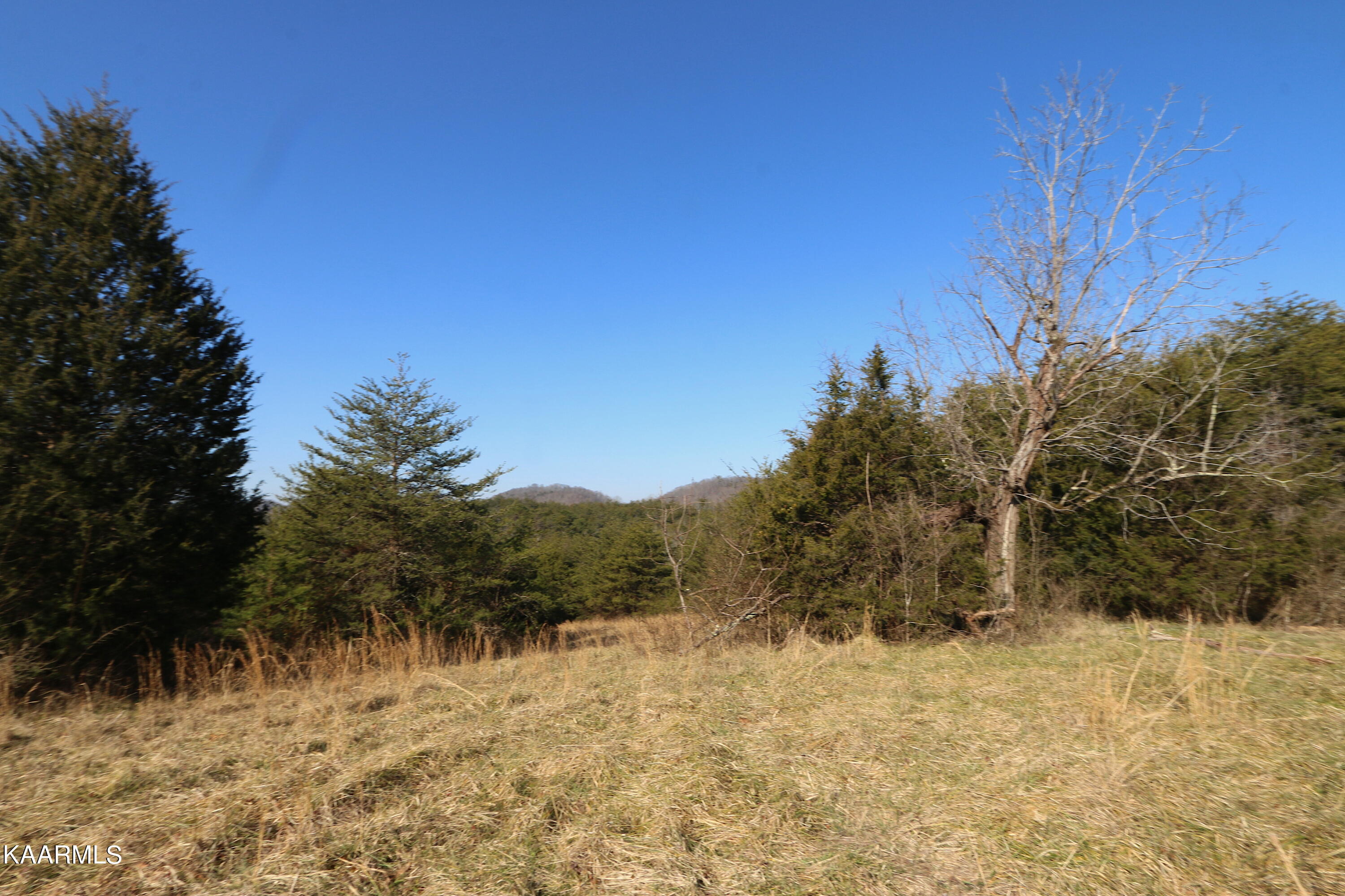 408 Shaddon Road Tellico Plains, TN 37385 - Photo 1 of 23 IMG_9821