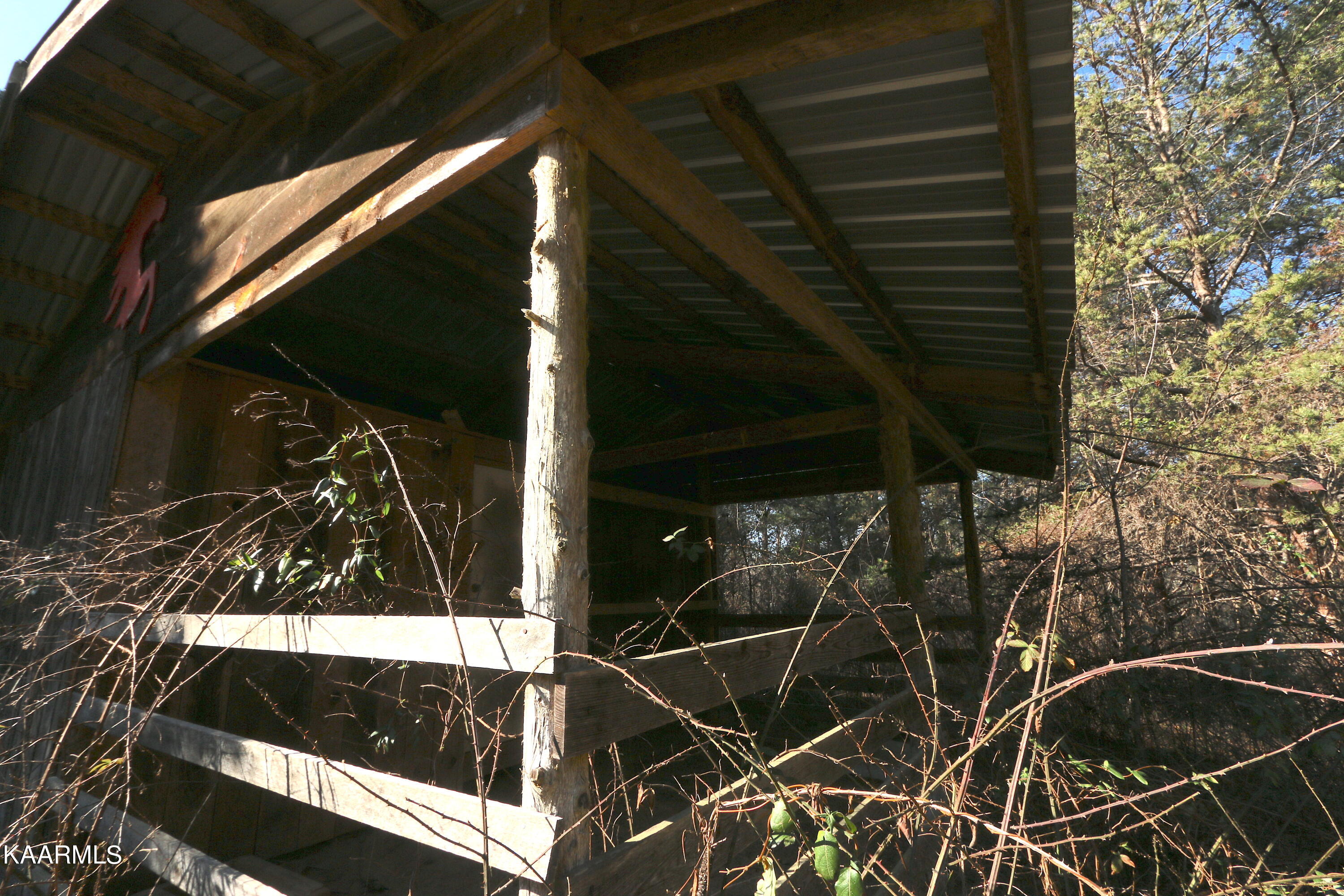 408 Shaddon Road Tellico Plains, TN 37385 - Photo 15 of 23 IMG_9831