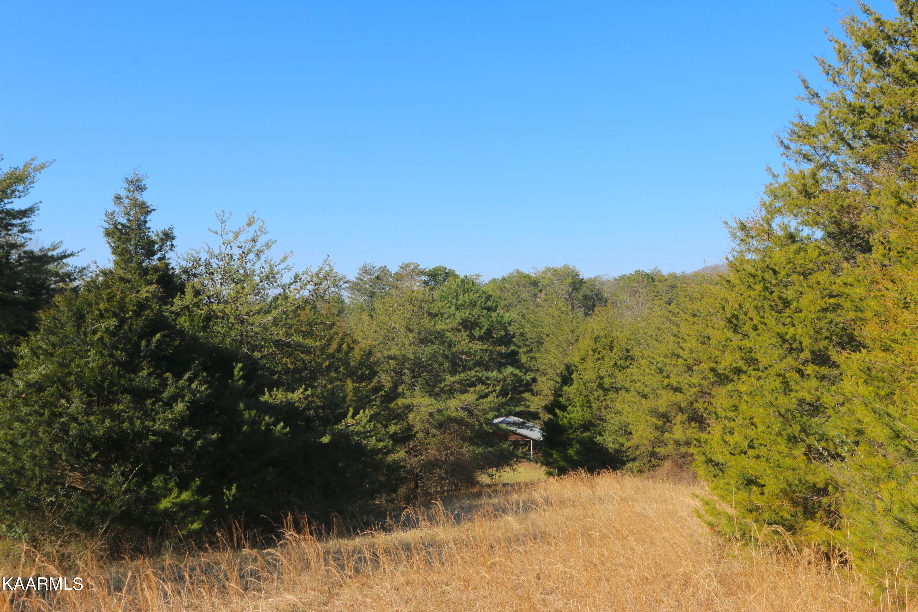408 Shaddon Road Tellico Plains, TN 37385 - Photo 10 of 23 IMG_9825
