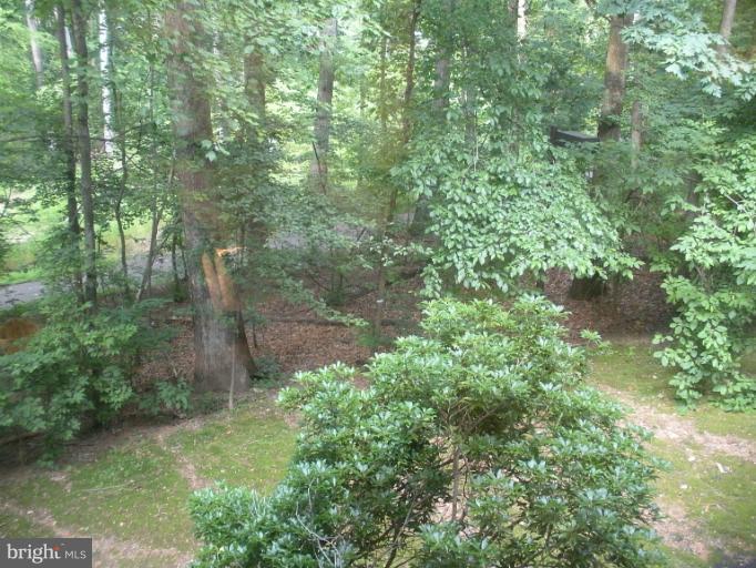 2108 Green Watch Way, Unit 11/200 Reston, VA 20191 - Photo 14 of 30 View from Dining Room