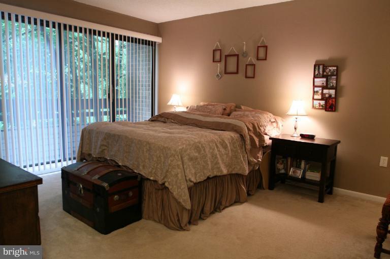 2108 Green Watch Way, Unit 11/200 Reston, VA 20191 - Photo 20 of 30 Bedroom (Master)