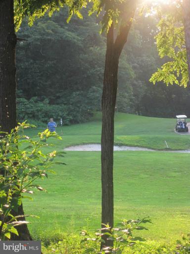 2108 Green Watch Way, Unit 11/200 Reston, VA 20191 - Photo 21 of 30 View of Reston golfcourse