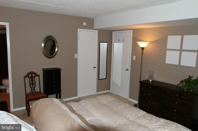 2108 Green Watch Way, Unit 11/200 Reston, VA 20191 - Photo 24 of 30 Bedroom (Master)