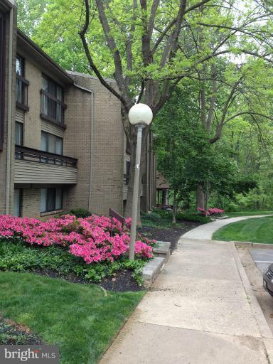 2108 Green Watch Way, Unit 11/200 Reston, VA 20191 - Photo 25 of 30 Community sidewalks