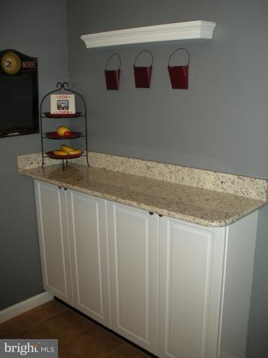 2108 Green Watch Way, Unit 11/200 Reston, VA 20191 - Photo 7 of 30 Kitchen bar and storage area