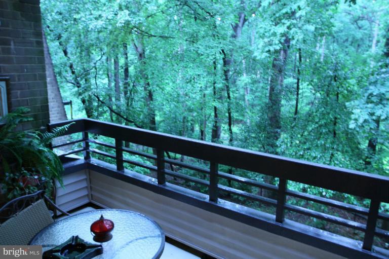 2108 Green Watch Way, Unit 11/200 Reston, VA 20191 - Photo 10 of 30 View from balcony
