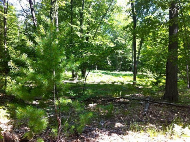 East Hawley Road, Unit A Scottville, MI 49454 - Photo 1 of 16 Primary Photo