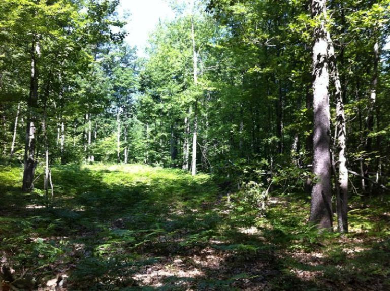 East Hawley Road, Unit A Scottville, MI 49454 - Photo 15 of 16 Additional Photo