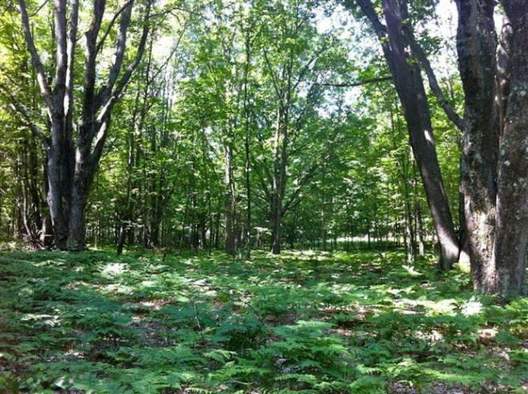 East Hawley Road, Unit A Scottville, MI 49454 - Photo 2 of 16 Additional Photo