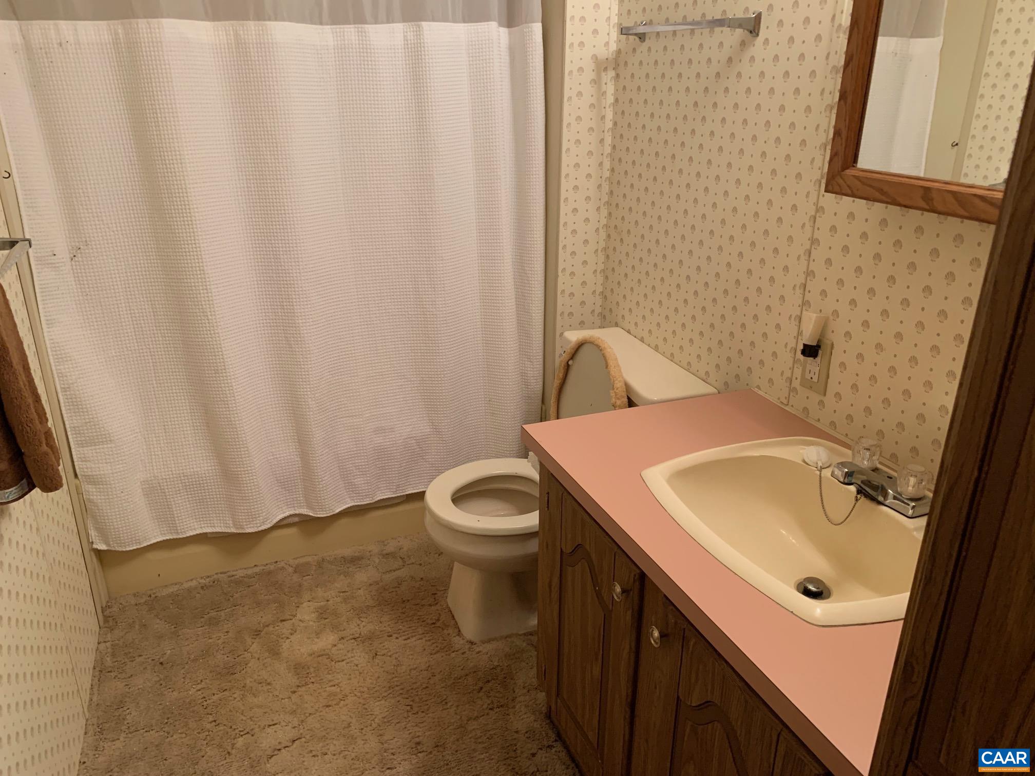 3981 South Blue Ridge Turnpike Rochelle, VA 22738 - Photo 12 of 15 a bathroom with a sink a toilet and shower curtain