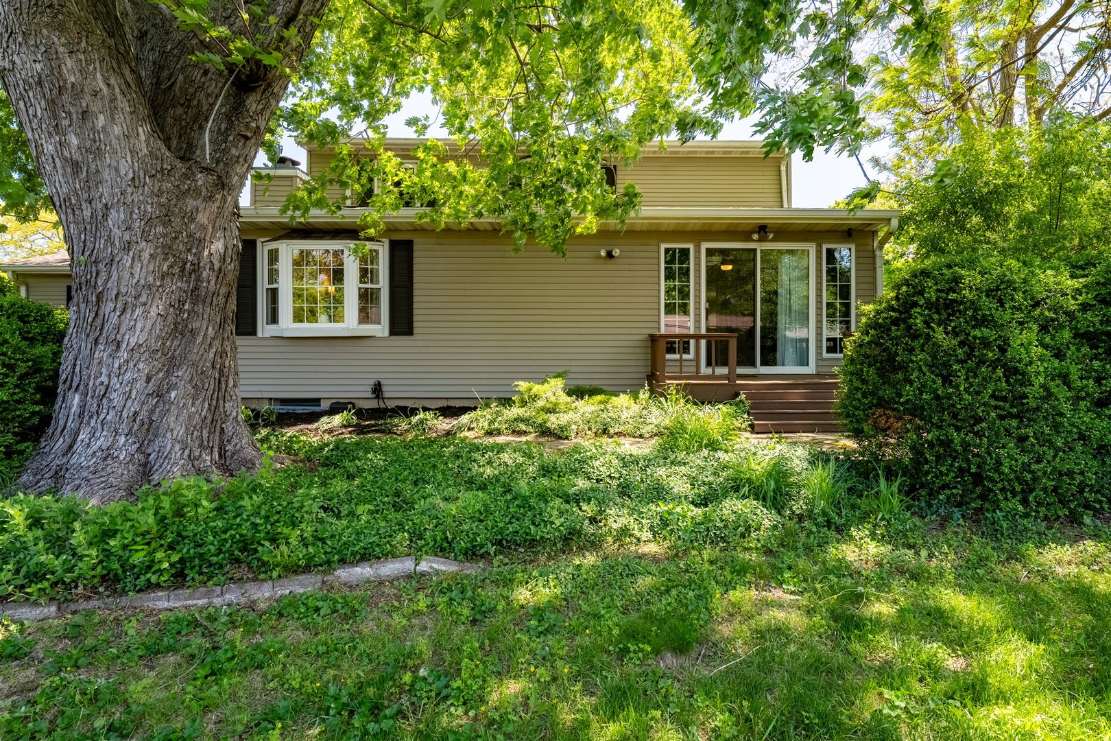 501 Augustine Way Normal, IL 61761 - Photo 41 of 43 front view of a house with a yard