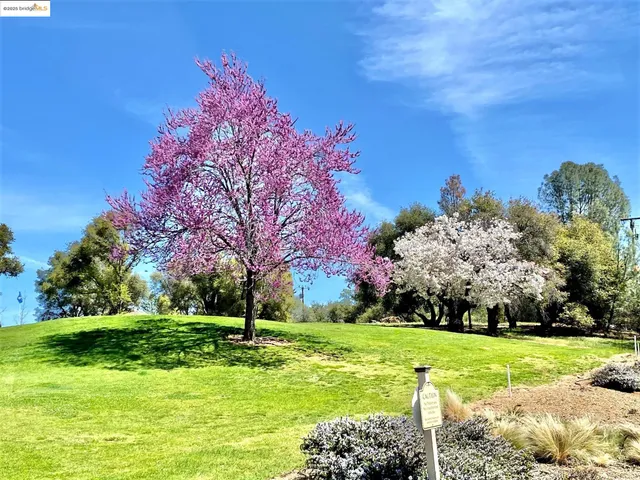 $399,900 | 19621 Cottonwood Street, Groveland, CA 95321