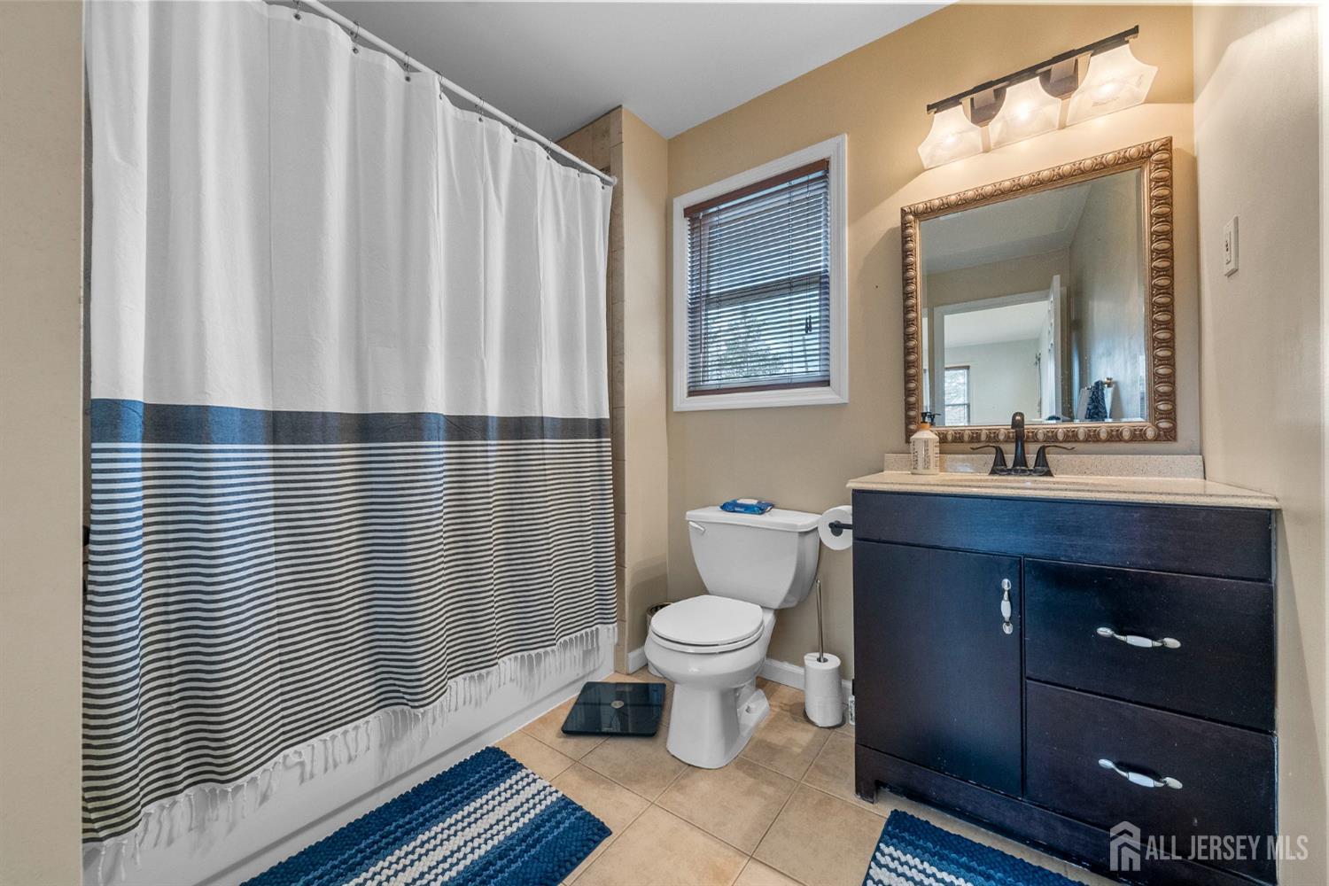 243 Alpine Way Old Bridge, NJ 08879 - Photo 27 of 45 a bathroom with a toilet a sink and a mirror