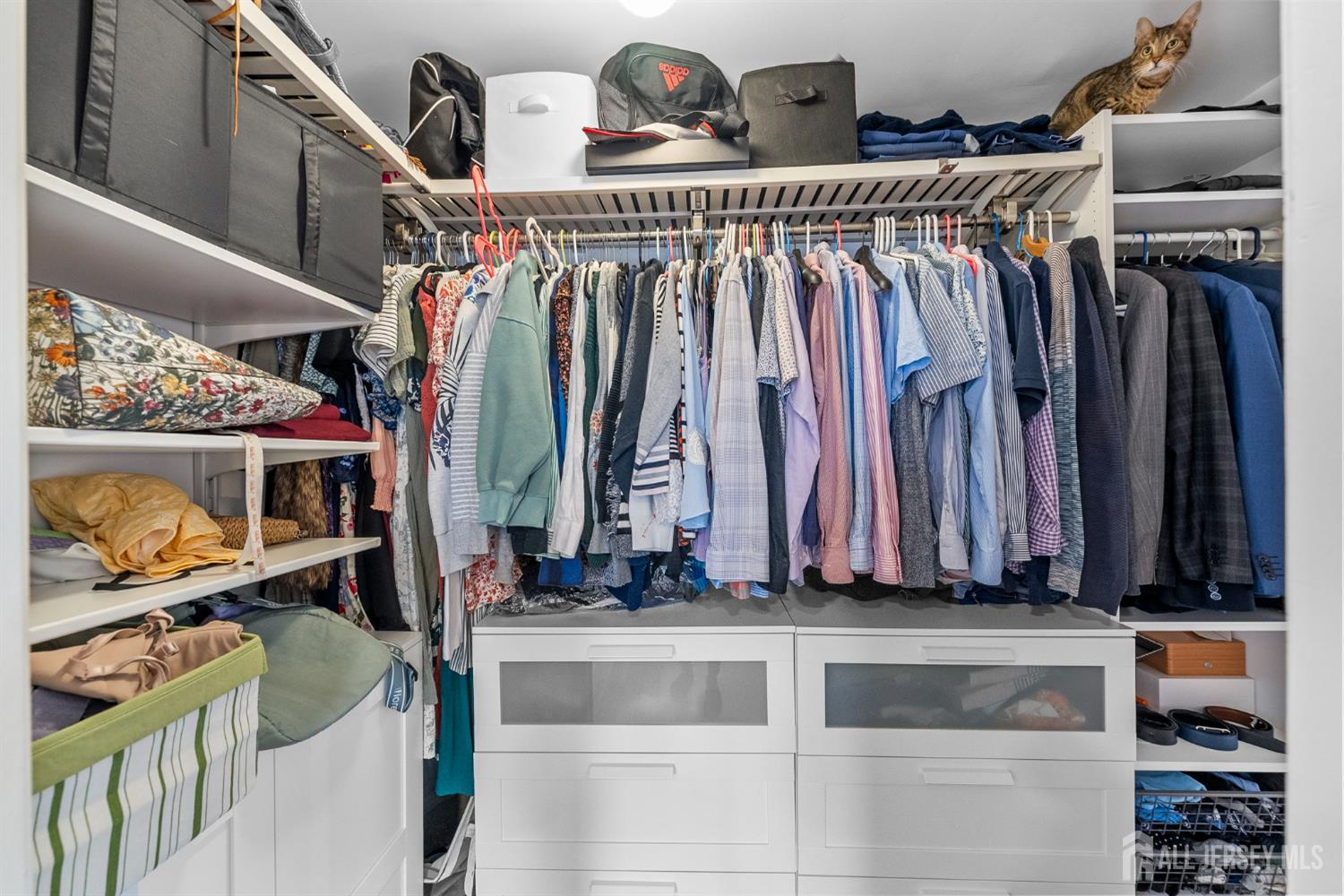 243 Alpine Way Old Bridge, NJ 08879 - Photo 29 of 45 a view of walk in closet with clothes and shoes