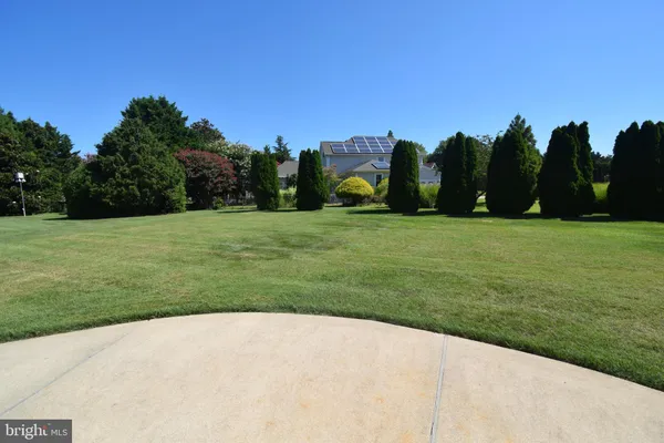a view of a field with trees in the background
