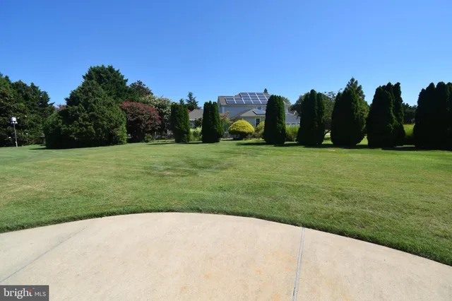a view of a field with trees in the background