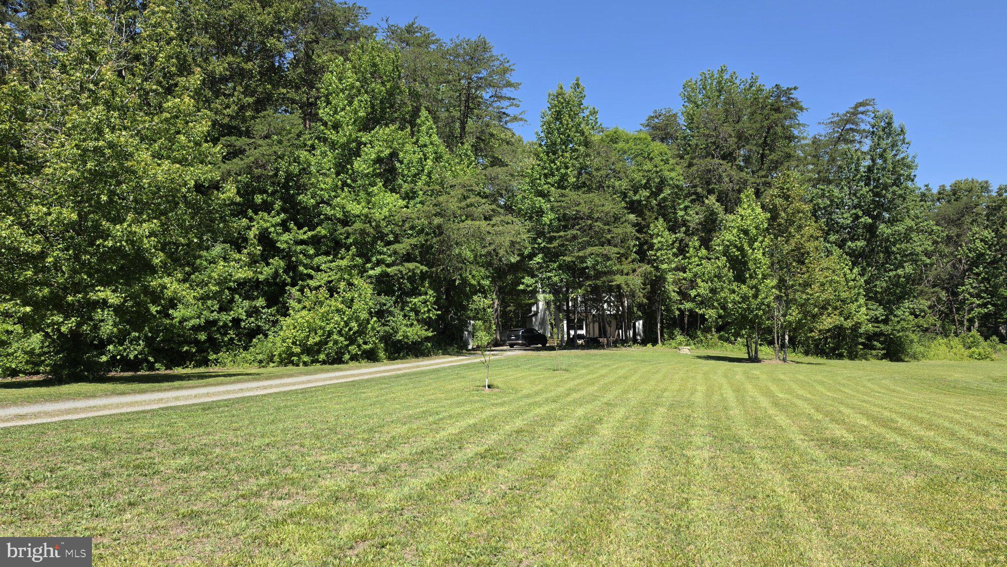2208 Cartersville Road Mineral, VA 23117 - Photo 39 of 44 Serene landscape embraced by trees.