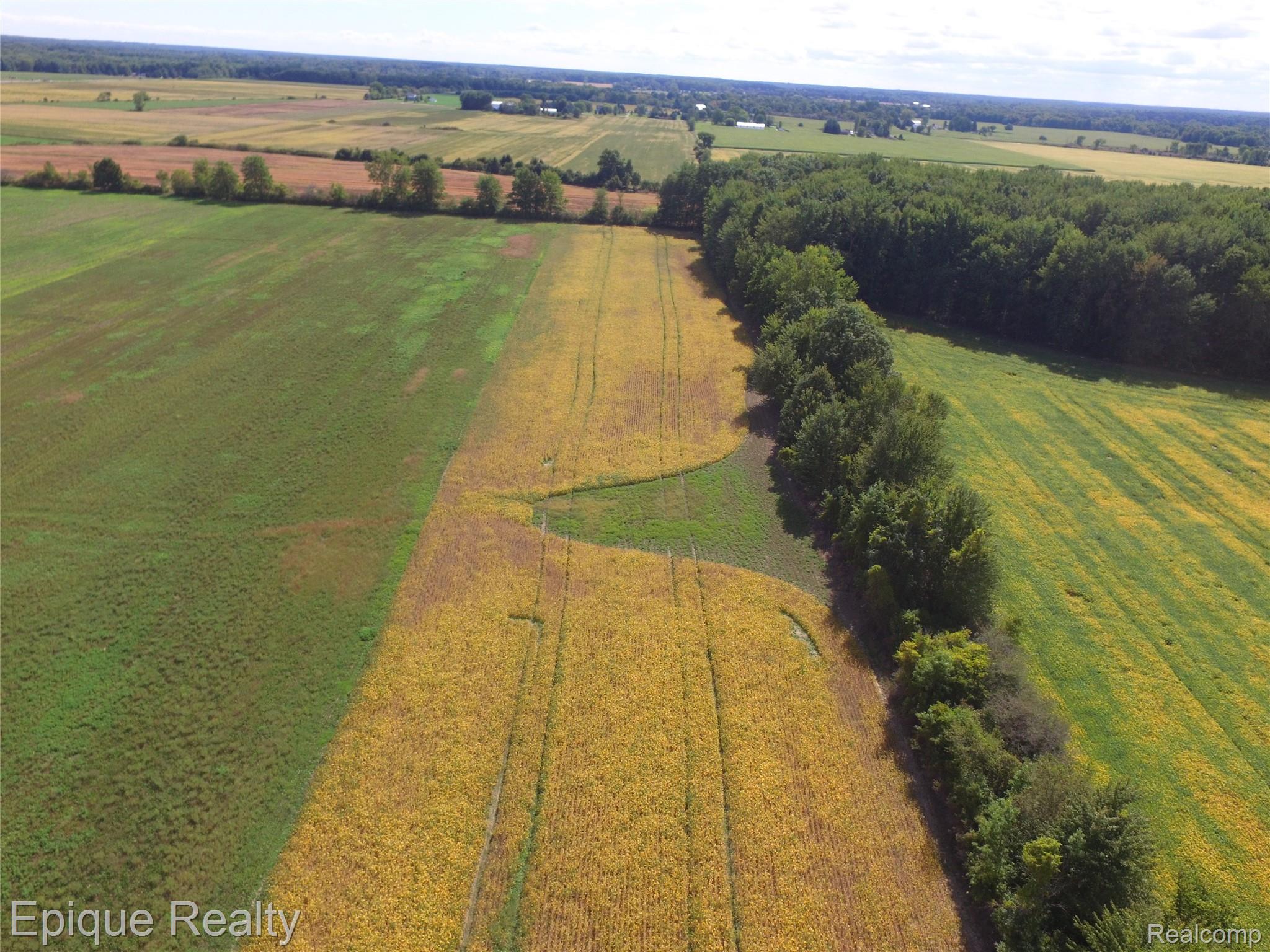 0 Fisher Road Avoca, MI 48006 - Photo 6 of 14 DJI_0063.JPG