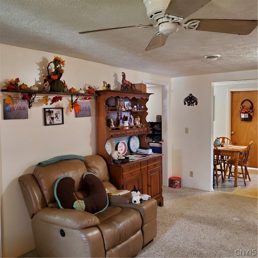 628 Lakeport Road Sullivan, NY 13037 - Photo 5 of 15 Living room looking toward the eat-in kitchen.