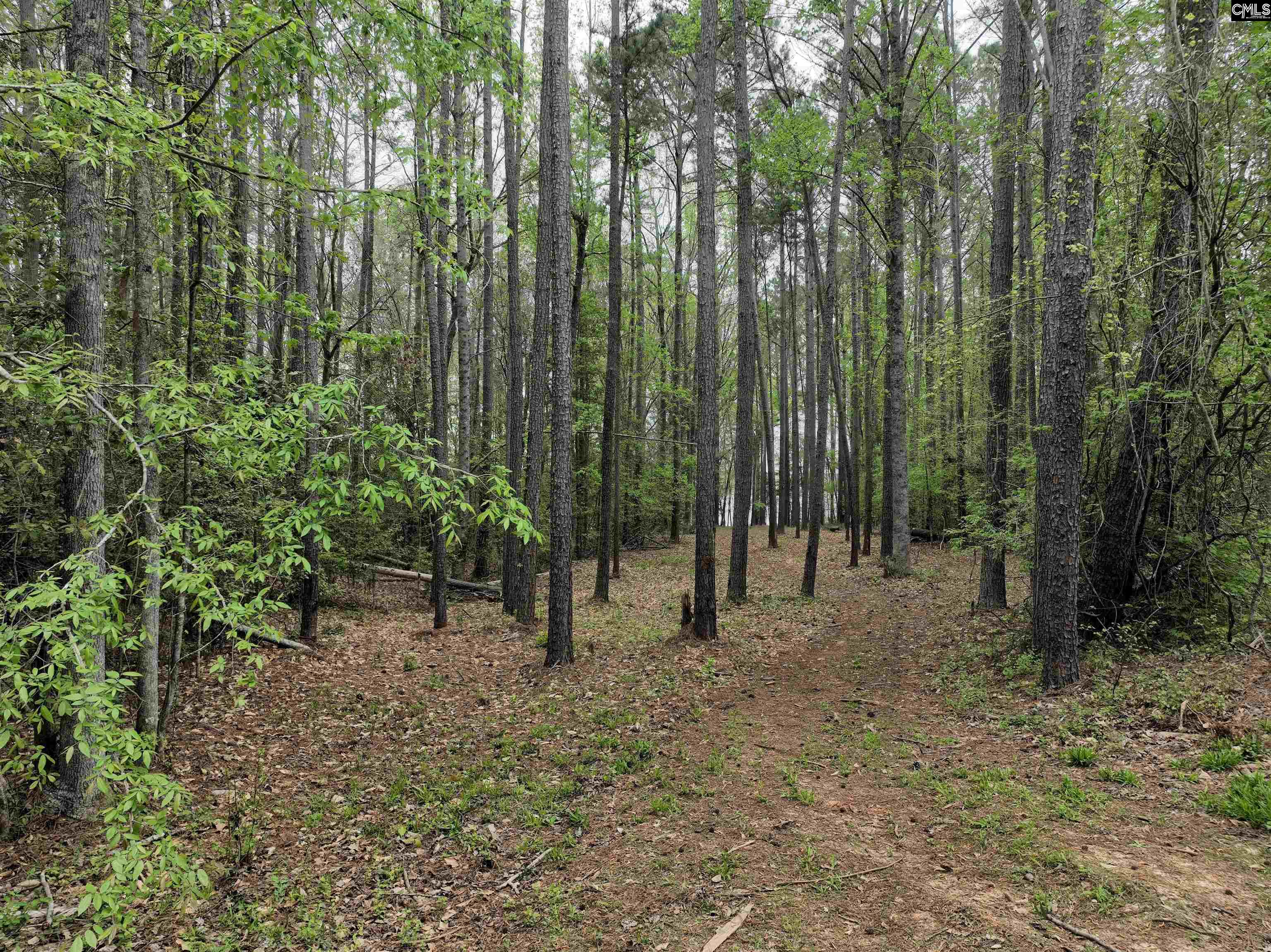 Tbd Fannie Black Road Prosperity, SC 29127 - Photo 9 of 28