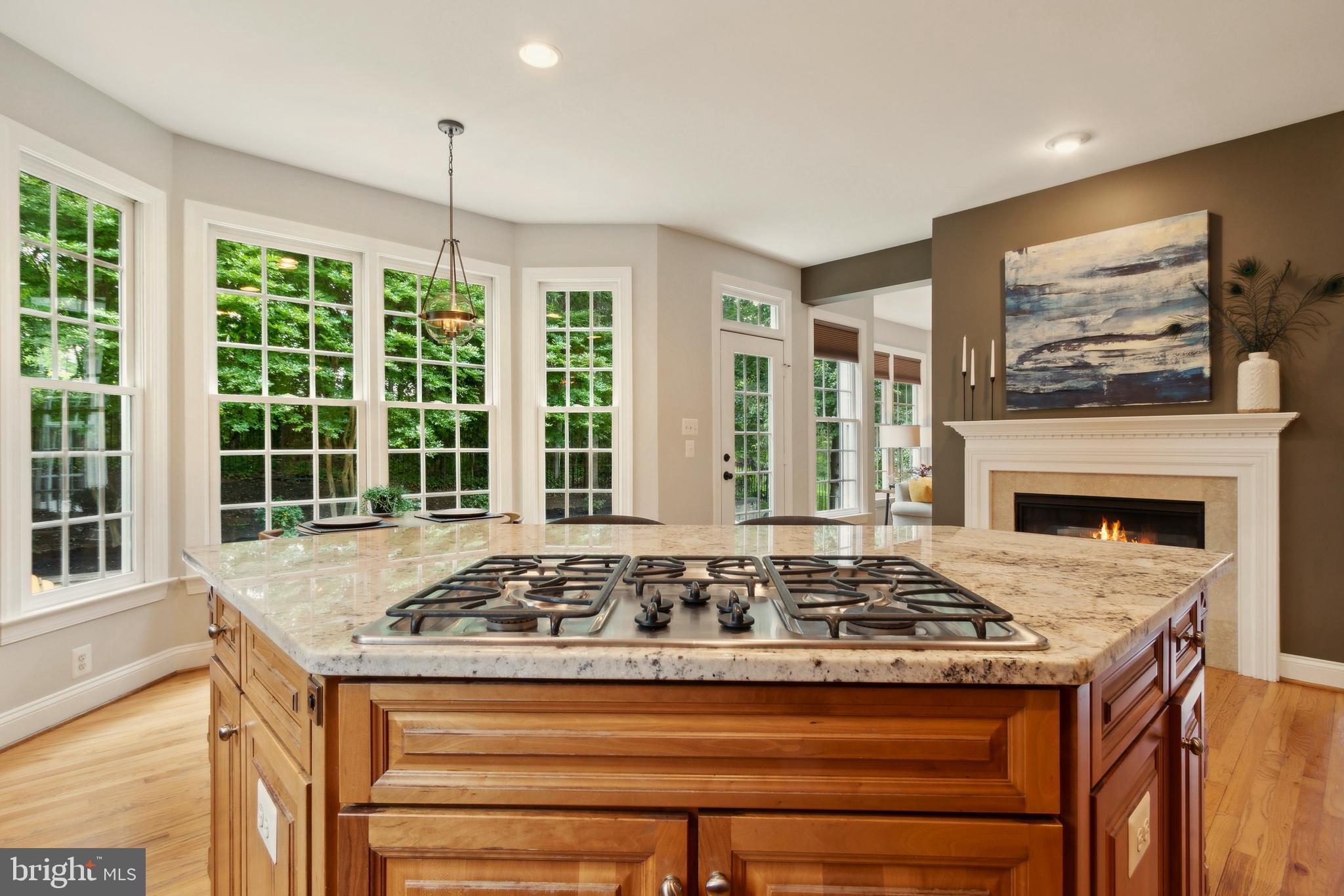 8240 Roxborough Loop Gainesville, VA 20155 - Photo 24 of 103 Gallery Image 24