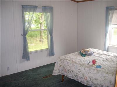 14767 Broadway Road Three Rivers, MI 49093 - Photo 8 of 11 Additional Photo