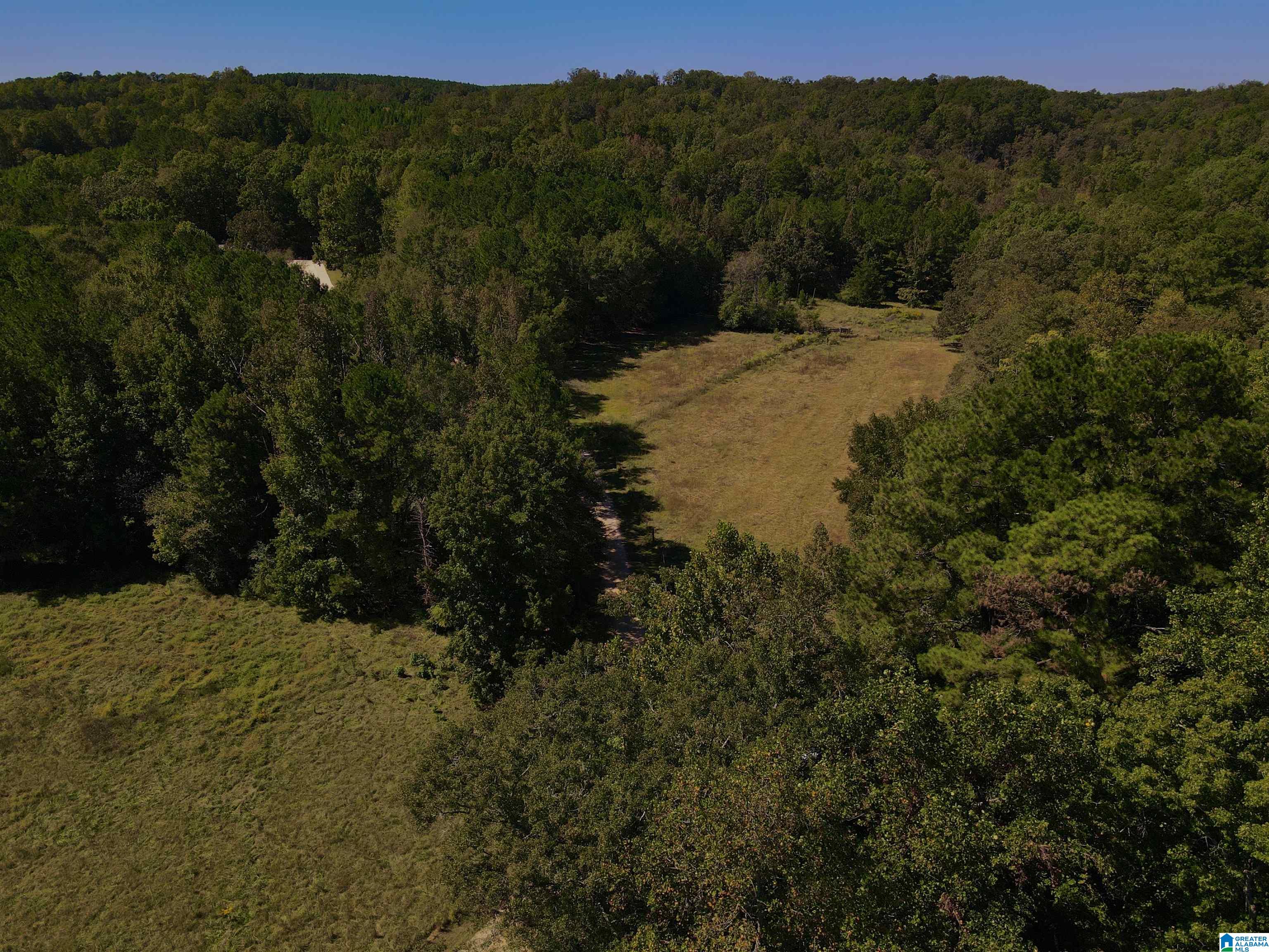 263 Pebble Road Montevallo, AL 35115 - Photo 47 of 50