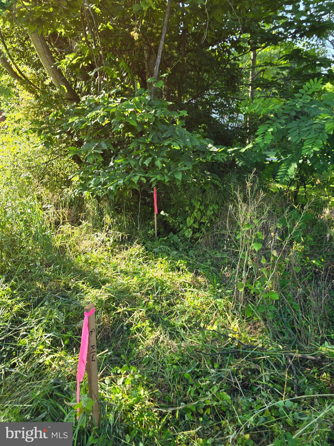 0 South Mountain Road Dillsburg, PA 17019 - Photo 11 of 12 a backyard of a house with lots of green trees and plants