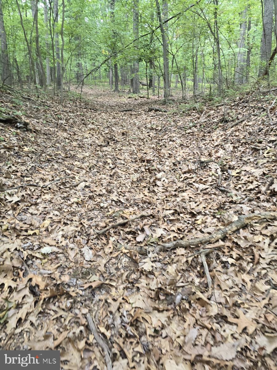 0 South Mountain Road Dillsburg, PA 17019 - Photo 3 of 12 a view of empty area with tree