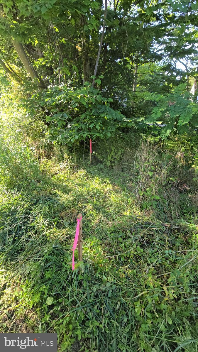 0 South Mountain Road Dillsburg, PA 17019 - Photo 7 of 12 a backyard of a house with swimming pool