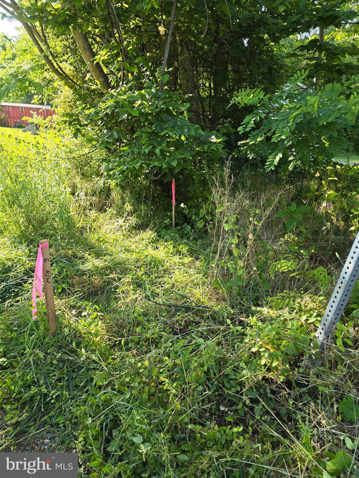 0 South Mountain Road Dillsburg, PA 17019 - Photo 10 of 12 a backyard of a house with a tree