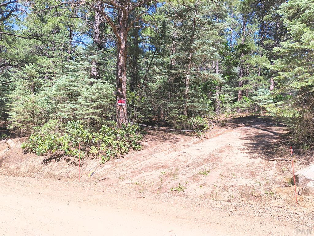 10940 Bartlett Trail Rye, CO 81069 - Photo 6 of 17