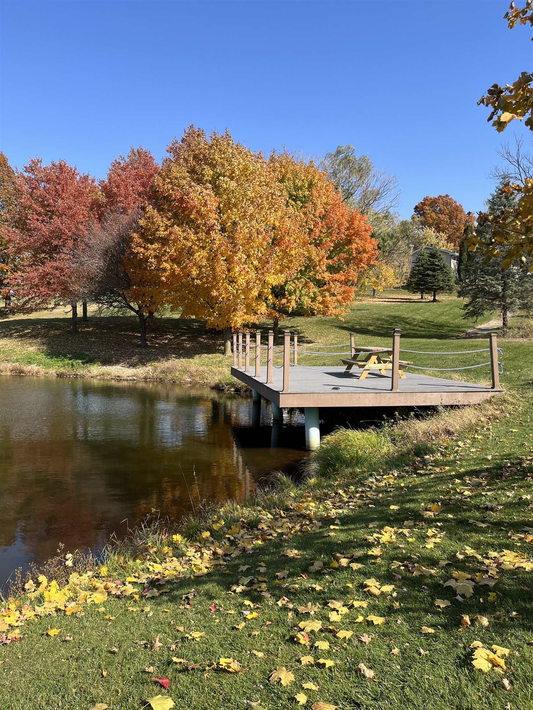 115 Windmill Road Elizabeth, IL 61028 - Photo 69 of 82 a view of a lake with houses