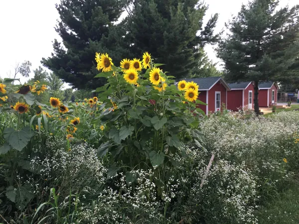 $1,290,000 | 115 Windmill Road, Elizabeth, IL 61028