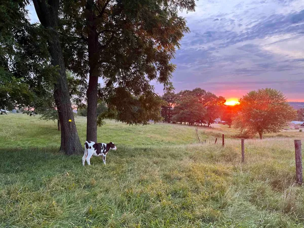 $1,290,000 | 115 Windmill Road, Elizabeth, IL 61028