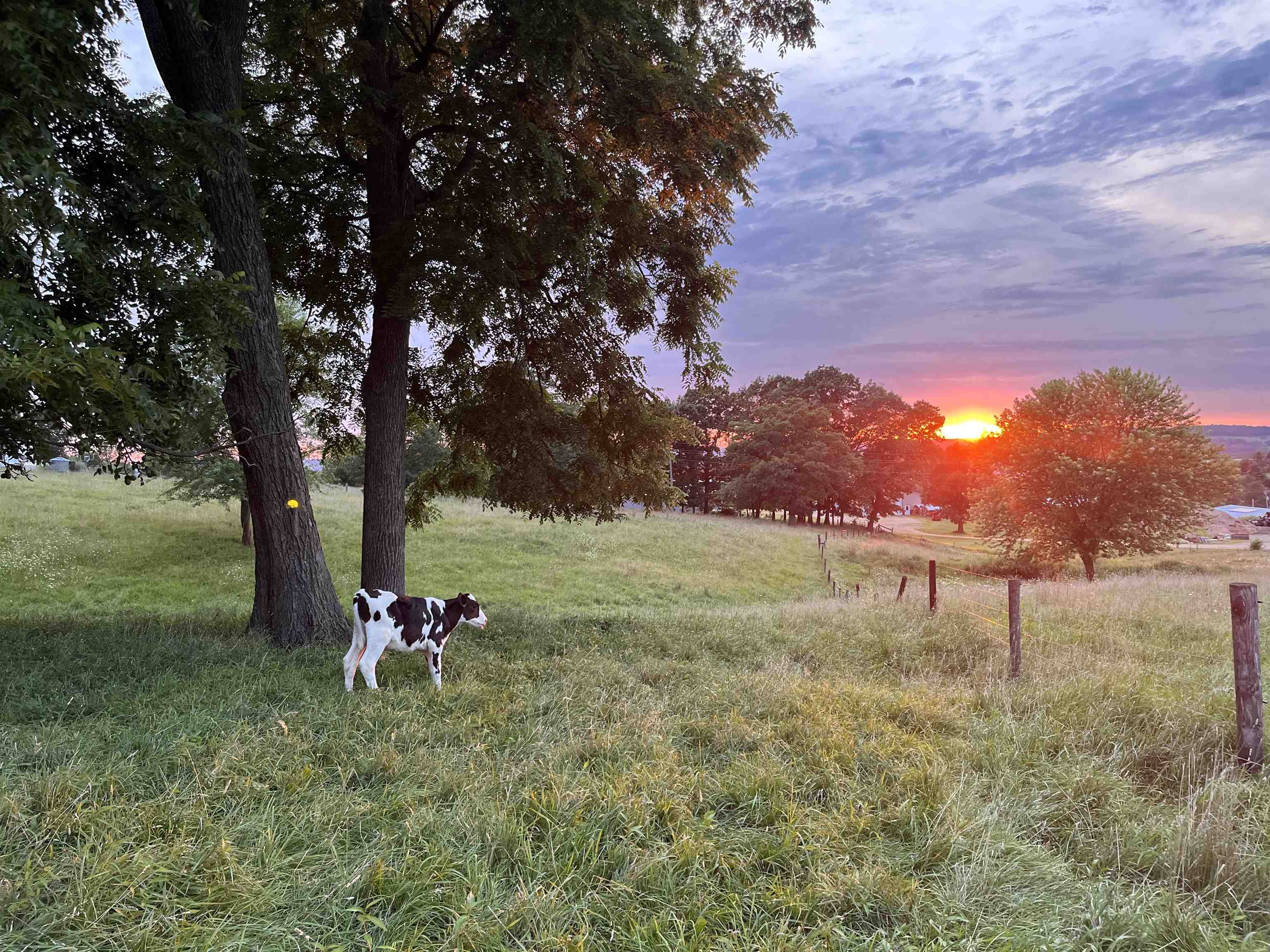 115 Windmill Road Elizabeth, IL 61028 - Photo 77 of 82