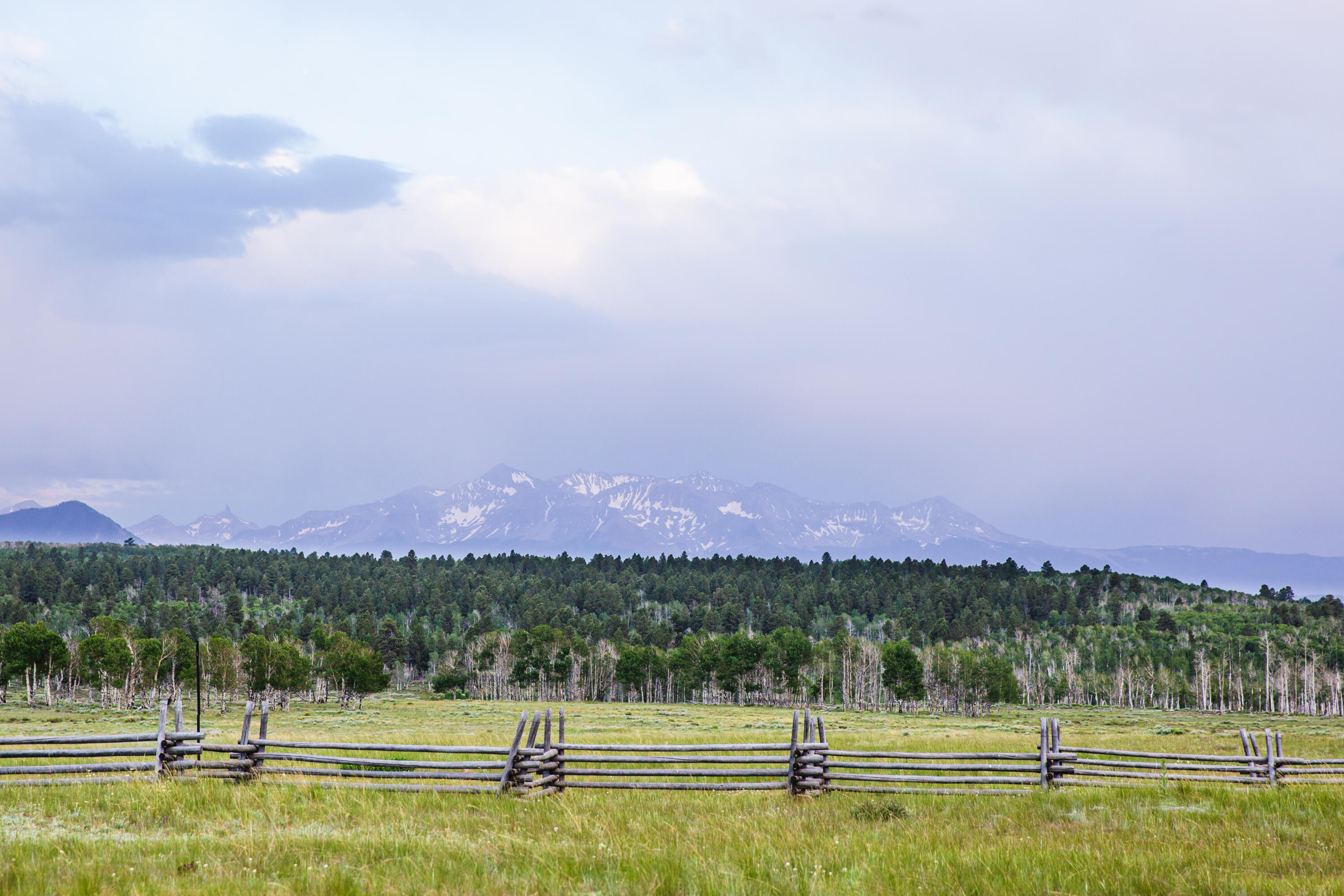 Tbd Frontier Road Placerville, CO 81430 - Photo 5 of 15 FrontierRanch-6