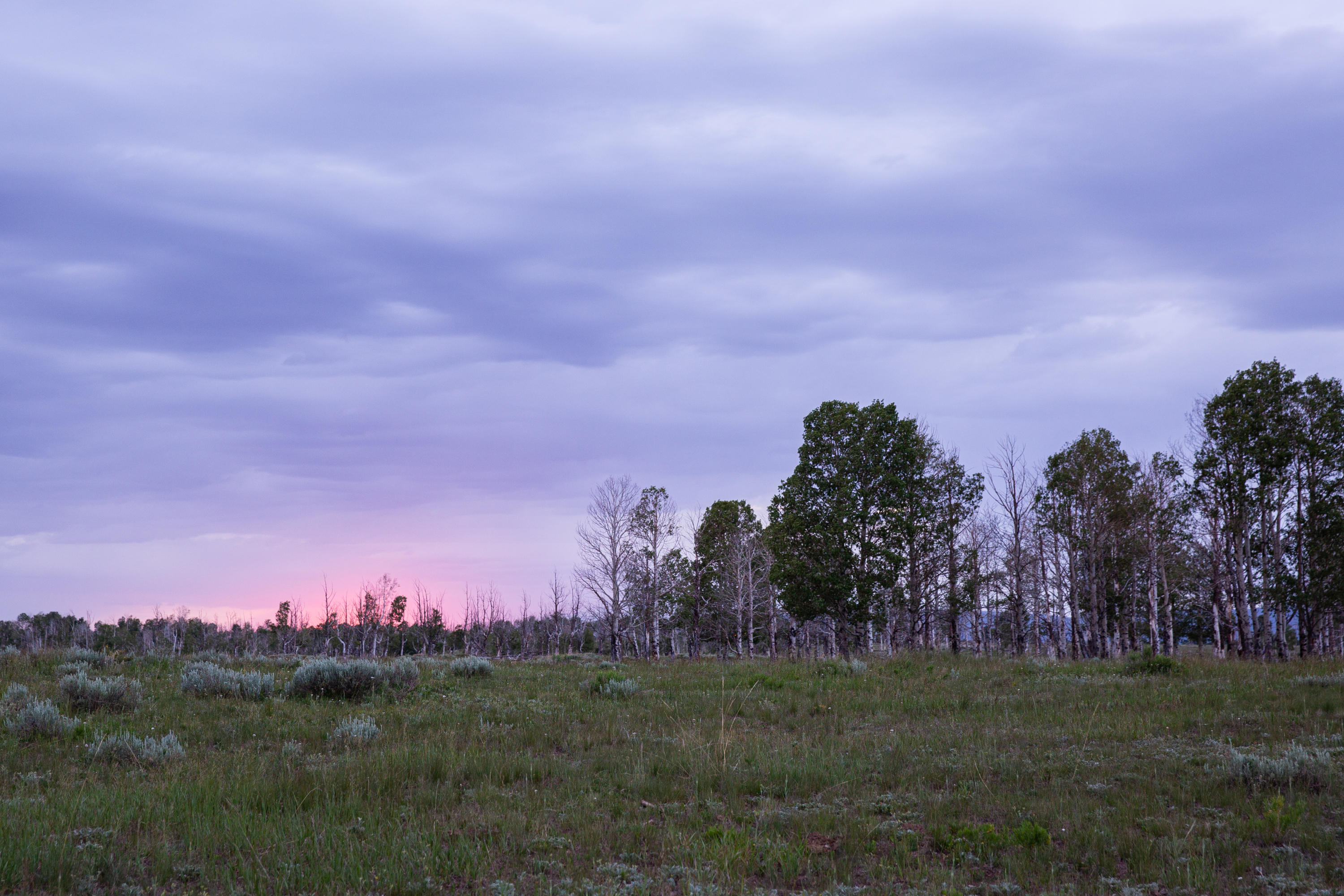 Tbd Frontier Road Placerville, CO 81430 - Photo 7 of 15 FrontierRanch-12