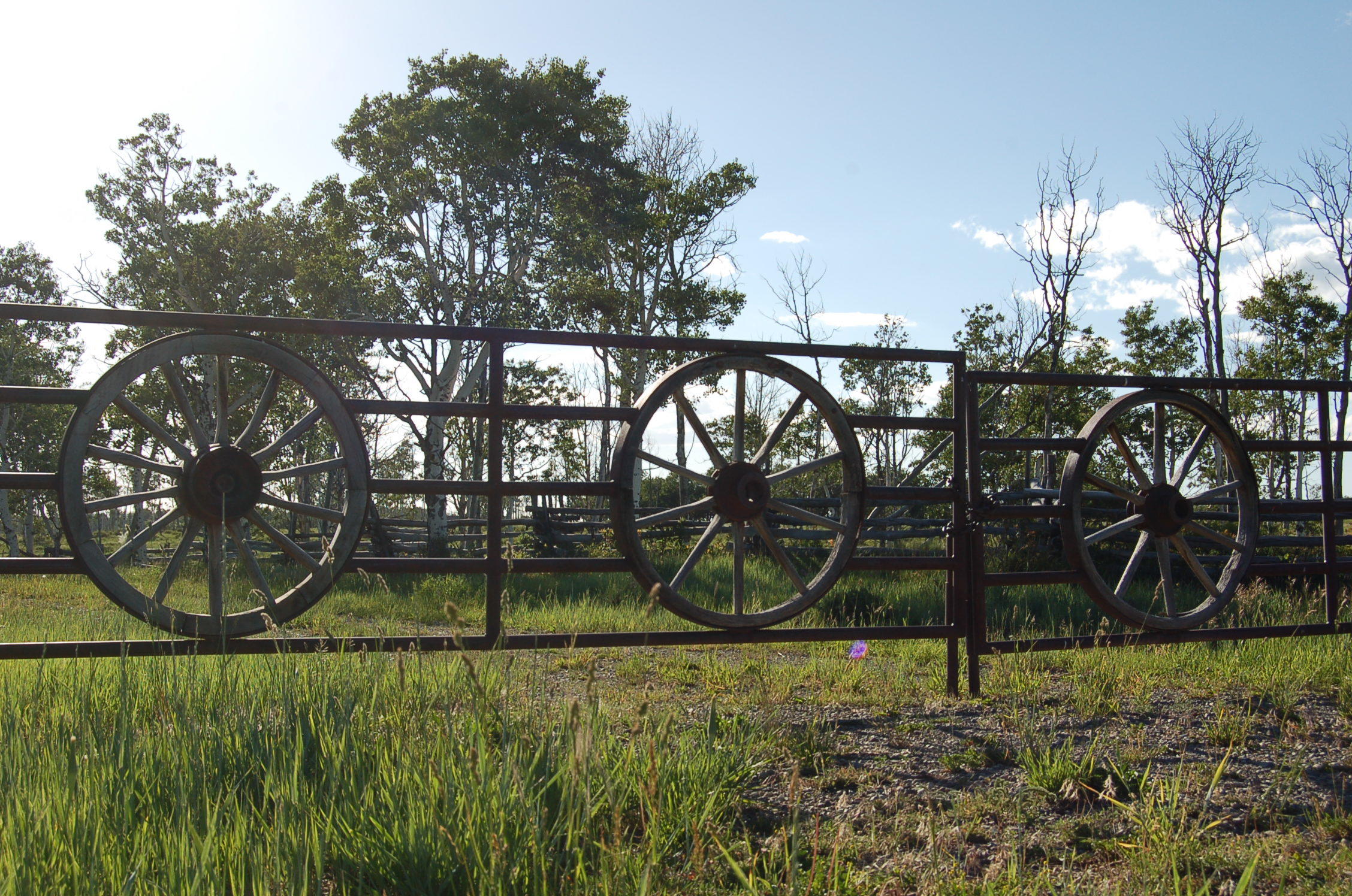 Tbd Frontier Road Placerville, CO 81430 - Photo 8 of 15 DSC_0057