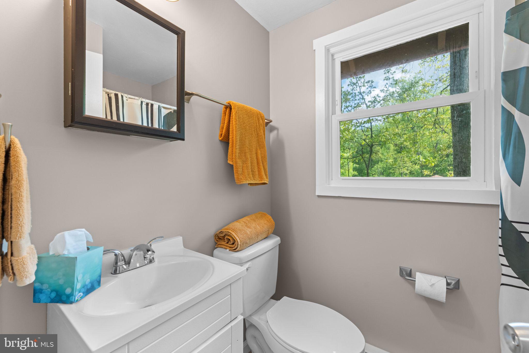 293 Old Sawmill Road Front Royal, VA 22630 - Photo 35 of 68 a bathroom with a toilet sink and mirror
